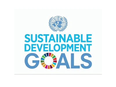 联合国可持续发展目标 