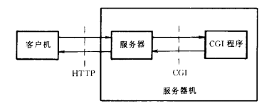万维网(WWW)(图10)
