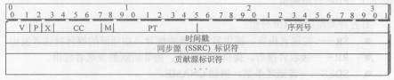 实时传输协议（RTP）(图1)