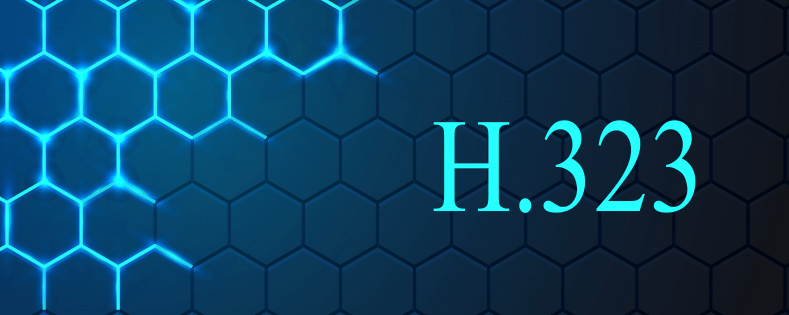 H.323终端呼叫流程：多连接流程