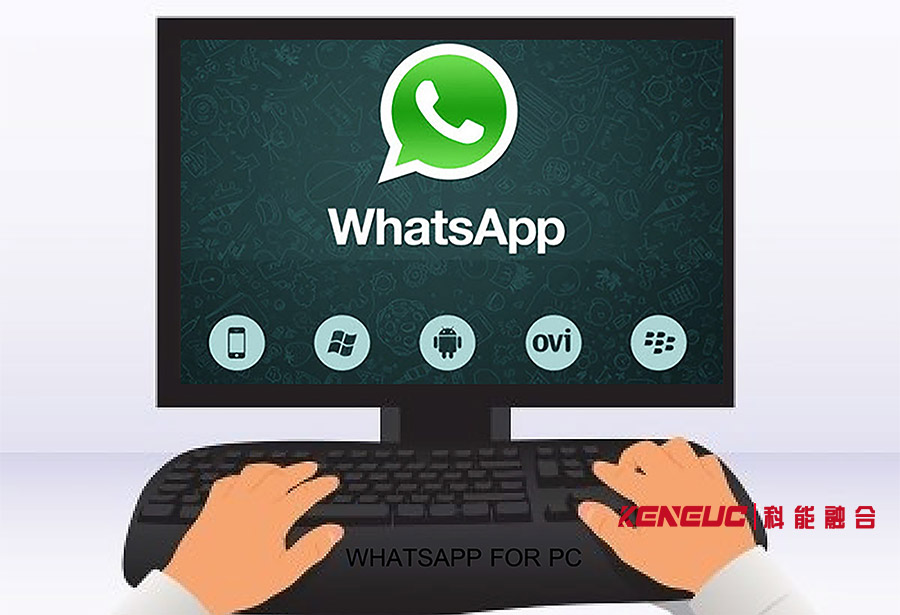 Whatsapp网页版(如何在电脑上使用Whatsapp聊天)