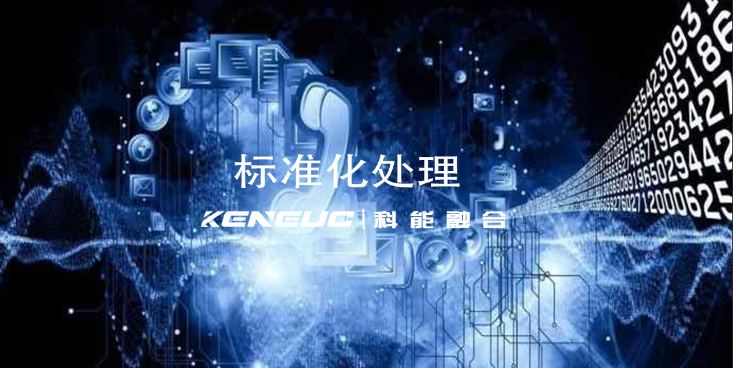 标准化处理