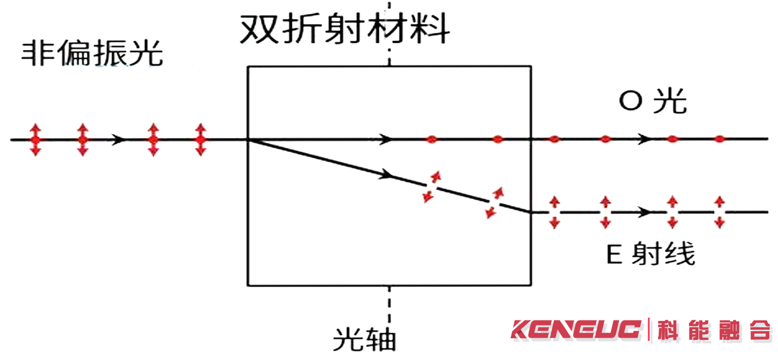 双折射现象